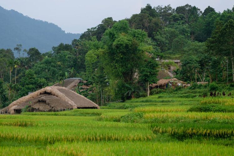 ha-giang-loop-deaths-safety-tips-for-travelers-and-recent-incidents-68bfd09308504