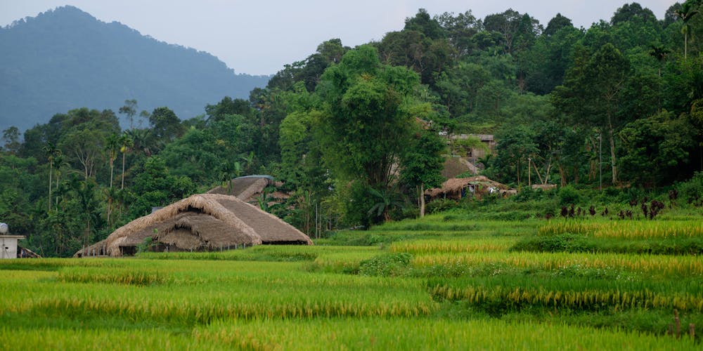 Ha Giang Loop Deaths: Safety Tips for Travelers and Recent Incidents